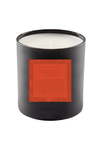 Soy Candle | Clementine + Water Lily-0