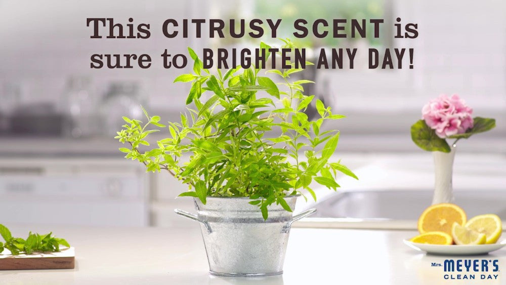 MMCD SOY CANDLE LEM VERB ( 6 X 7.2 OZ   )-1